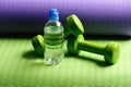 Dumbbells made of green plastic on purple and green background Royalty Free Stock Photo