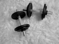 Dumbbells Royalty Free Stock Photo