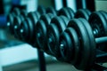 Dumbbells on rack