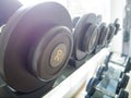 Dumbbells rack Royalty Free Stock Photo