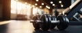 The dumbbells resting on the gym floor bathed in natural light. AI generated image Royalty Free Stock Photo