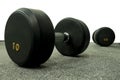 Dumbbells with solid steel head rubber coated. 10 Kilogram white wall Royalty Free Stock Photo