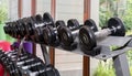 Dumbbells on stand in fitness