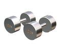 Dumbells Royalty Free Stock Photo