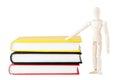 Dummy with the books Royalty Free Stock Photo