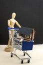 A dummy carries a shopping cart with a miniature house