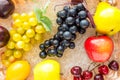 Dummy ripe fruits and berries close-up