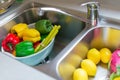 Dummy ripe fruits and vegetable in sink