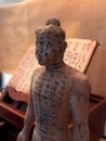 A dummy used for practicing acupuncture, a traditional Chinese medicine technique. Royalty Free Stock Photo