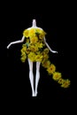 Dummy wearing dress made from yellow dandelion flowers isolated on black background. Spring or summer fashion concept