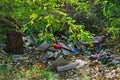 Dump in forest. Problem of pollution of environment Royalty Free Stock Photo