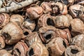 Dump old dry coconuts. Waiting for the queue to burn. Recycling Organic Garbage. Close-up, brown tones. Natural textures. Empty