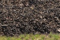 Dump of old tires of automobile wheels. Royalty Free Stock Photo