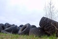 Dump of old tires of automobile wheels. Old wheel Royalty Free Stock Photo