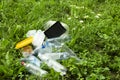 Dump of plastic garbage in the forest or in the meadow near the chamomile flowers. Plastic bottles, food containers