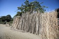 The dump treated wood for fencing Madagascar Royalty Free Stock Photo