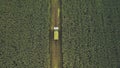 Dump truck transports corn grains after being harvested by a combine harvester. Aerial view of agricultural field with corn during