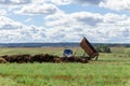 A dump truck unloads manure brought from a livestock farm into the field