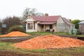 Dumped Carrot Crop Tasmania