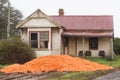 Dumped Carrot Crop Tasmania