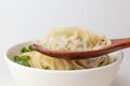 Dumpling Kalguksu on a white background