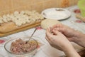 The dumpling making Royalty Free Stock Photo