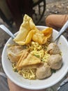 Dumpling soup with fried topu crackers and instant noddles