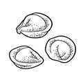 Dumpling. Vintage black vector engraving illustration. Isolated on white