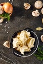 Dumplings Jiaozi, Dimsum, Momo or Ha Gao on Dark Background