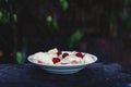 Dumplings with cherries in a plate on a dark retro background Royalty Free Stock Photo