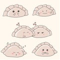 dumplings with cute faces, a set of emotional dumplings