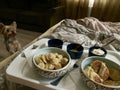 Dumplings and dumplings at home. Yorkshire Terrier on the background. Royalty Free Stock Photo