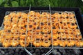 Dumplings on the grill acquiring a delicious and appetizing look