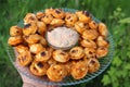 Fried dumplings on the grill lie in a plate with sauce