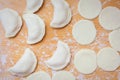 The dumplings are littered with hands, dough blanks