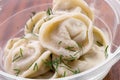 Dumplings pelmeni in white bowl with green dill close-up