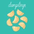 Dumplings pierogi, varenyky, pelmeni set. Vector hand drawn illustration.