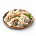 Photo Realistic Dumplings On White Plate