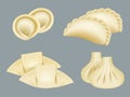 Dumplings. Products from dough wontons manti dumplings traditional asian cuisine realistic collection