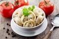 Dumplings russian pelmeni