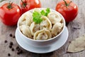 Dumplings russian pelmeni