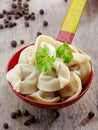 Dumplings russian pelmeni