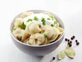 Dumplings russian pelmeni Royalty Free Stock Photo