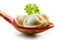 Dumplings russian pelmeni