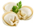 Dumplings - russian pelmeni - italian ravioli Royalty Free Stock Photo