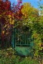 Dunabogdany Bogdany Hungary Fall autumn 2017 Beautiful view in the nature.