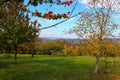 Dunabogdany Bogdany Hungary Fall autumn 2017 Beautiful view in the nature.