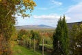 Dunabogdany Bogdany Hungary Fall autumn 2017 Beautiful view in the nature.