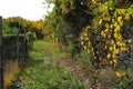 Dunabogdany Bogdany Hungary Fall autumn 2017 Beautiful view in the nature.