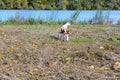 Dunabogdany Bogdany Hungary Fall autumn 2017 Beautiful view in the nature.